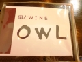 owl 02