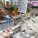 2026年「イカナゴ事情」②　播磨灘も2日で終了